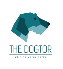 THE DOGTOR CLINICA VETERINARIA