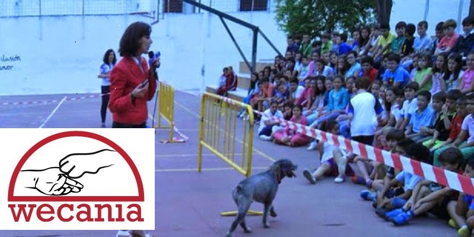 WECANIA Terapia Asistida con Perros