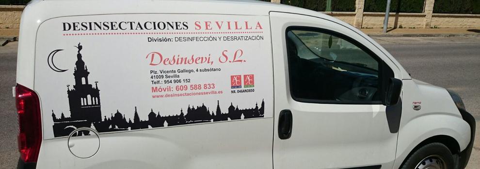 Desinsectaciones Sevilla